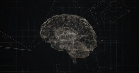 Wall Mural - Floating 3D wireframe brain pulsing in virtual space, with grid overlay showing network nodes