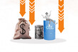 © deagreez - Image trendy art banner collage of inexperienced businesswoman sit oil barrel collapse price regress dollar money loss crisis