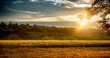 © liubovsolo - Scenic landscape golden wheat field at sunset dramatic cloudy sky  sun rays breaking through, rural peaceful view.