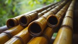 Close-up bamboo poles, tropical forest background
