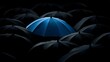 © sungedi - One bright blue umbrella stands out among many dark ones.