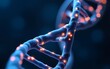 © Robert - Digital representation of a DNA helix illuminated by glowing blue and orange lights, symbolizing biotechnology and genetic research. High quality