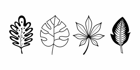 Vector four different style leaves in black and white outline drawing isolated on a white background design element