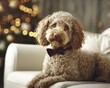 © MKS - An adorable puppy, donning a bow tie, is the centerpiece of a festive setting that exudes luxury, perfect for Christmas and New Year ornamentation