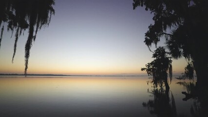 Wall Mural - Cypress Tree Moss Lake Dawn Landscape