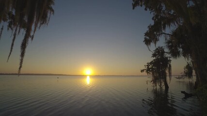 Wall Mural - Cypress Tree Moss Lake Sunrise Landscape 6
