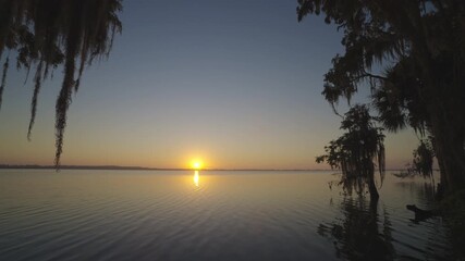 Wall Mural - Cypress Tree Moss Lake Sunrise Landscape 4