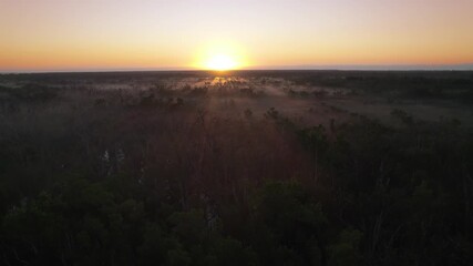 Wall Mural - Everglades Foggy Swamp Marsh Slough Sunrise Aerial 2