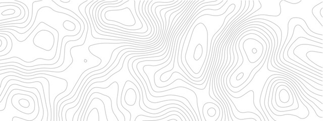Wall Mural - Topographic map seamless pattern contour lines on a white background vector illustration for geographic design
