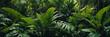 © Rayan Heaven - A lush and dense tropical jungle scene, filled with various shades of green foliage and exotic plants, creating a vibrant natural background