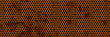 © Kusandra - Seamless bg of a rusty honeycomb lattice with circle holes. Aged patern with a grunge texture. Worn metal background. Metal grid with an aged, oxidized effect. Vector illustration.