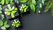 © Nimbus Works - Eco joy radiates from green leaves and gift boxes with bright ribbons on dark background, combining natural design and positive sustainable energy with copy space for layout.