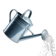 © Safar - A watering can pouring water