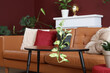 © Pixel-Shot - Coffee table with houseplant in modern living room, closeup
