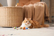 © Pixel-Shot - Cute tabby cat with toys lying on floor at home