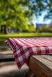 © sabaun - Red and white checkered tablecloth on a rustic wooden picnic table outdoors, shallow depth of field blurring a sunny park background