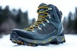 © Mariya - Close-up of a rugged hiking boot with yellow laces resting on snow with a blurred forest background under a cloudy sky