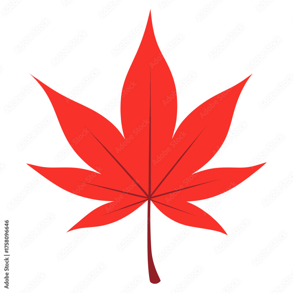 Red japanese maple leaf illustration autumn canadian vector Stock ...