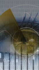 Wall Mural - Animation of statistics and scope scanning with binary coding over woman's eye in background