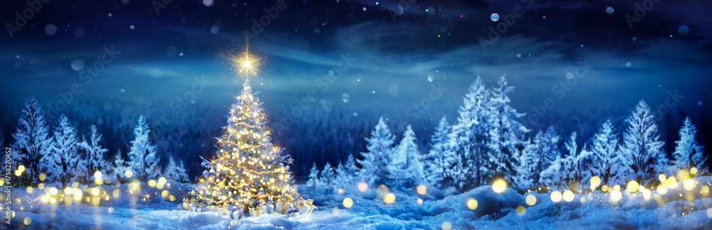 Christmas Tree On Snow - Winter Fir Forest At Night Forest - Pine Tree ...