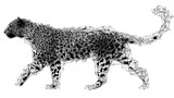 Leopard abstract graphic design