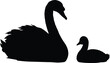 © MST - Elegant black swan and cygnet silhouette, parent and offspring bonding, graceful wildlife vector, minimal nature illustration, family protection, motherhood serene connection