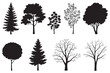 © Vision by Alamin - Extensive Collection of Black Silhouette Trees Diverse Foliage and Bare Branch Designs