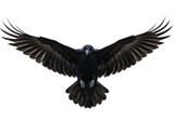 Majestic black raven flying isolated PNG on transparent background, dark bird with outstretched wings for Halloween and gothic themes