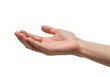 © AnaMaria - Open human hand isolated on transparent background, offering gesture in a reaching position for giving or receiving something