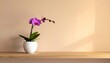 © Teti - Elegant purple orchid plant in a modern white pot on a wooden shelf bringing serene beauty and natural grace to any contemporary living or office space