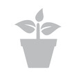 © Noni - Potted Plant Growth Icon