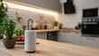 © Dara - A modern kitchen with a white countertop and grey cabinets, featuring a smart speaker on the countertop.