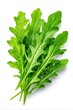 © Лаra Wladdim - green fresh arugula leaves isolated on white background