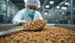 © Pete - Factory worker in sterile gear checks batch of dry pet food kibble on metal scoop. Automated production line in background ensures quality nourishment for animals.