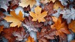 © Mariia - Brown and orange autumn leaves covered with frost and snow, symbolizing the transition from fall to winter, perfect for seasonal nature, weather, and background concepts