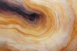 © Jdgkxbnc - Close-up of natural wood grain with concentric rings and a dark knot in warm brown and beige tones showing texture and organic patterns