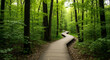 © Nik - Wooden path through lush green forest nature trail hiking scenic landscape photography background wallpaper