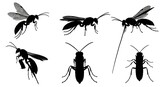 Silhouetted wasps in various poses isolated on white background, showcasing their anatomy