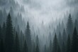 © diproduction - Dense pine forest covered in thick morning fog, creating a mysterious and moody wilderness atmosphere perfect for travel and nature exploration concept. Ai generative