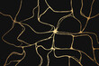 © MandarinkaArt - Gold kintsugi crack pattern. Japanese golden lines for modern minimalist design. Vector illustration.