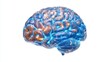© TSUCHAXAYA - A vivid illustration of a human brain showcasing neural connections and activity.