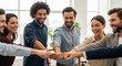 © susral - Large diverse team of professionals giving a collective high-five, a perfect concept for celebrating a major company achievement and collaborative success