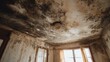 © Johannes - severe water damage leading to extensive black mold growth on ceiling and walls of a neglected room posing a health hazard and requiring remediation
