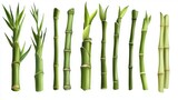 98.A vector design featuring a series of elegant bamboo stalks arranged in a vertical composition, ideal for creating natural, organic backgrounds with earthy green tones and minimalistic details.