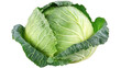 © FANTASY WORLD - Isolated close up of a fresh green cabbage head with textured leaves  studio shot on transparent background