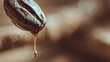 © irawan - Coffee bean drips rich dark liquid with a blurred warm background.