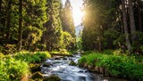 Mountain stream or river in a forest, spring nature landscape
