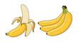 © Nasima - Illustration of a peeled banana and a bunch of fresh bananas