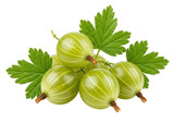 Fresh green gooseberries with leaves isolated, ripe summer fruit close-up on transparent background, healthy eating