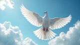White dove bird flies across bright blue sky with soft clouds. Bird wings spread wide, symbol of peace and freedom. Animal flight over airy space.